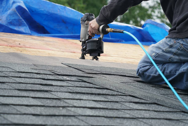 Best Roof Leak Repair  in Holley, NY