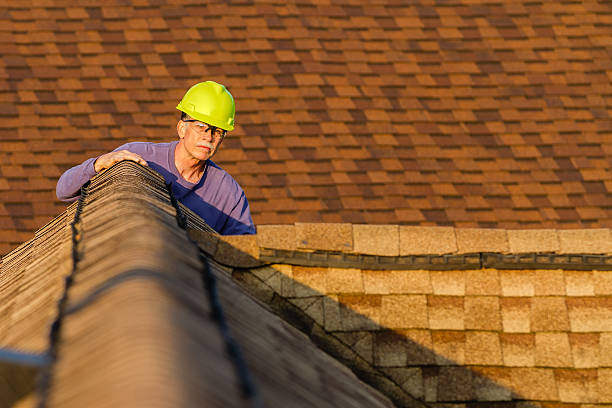 Best Roof Restoration Services  in Holley, NY