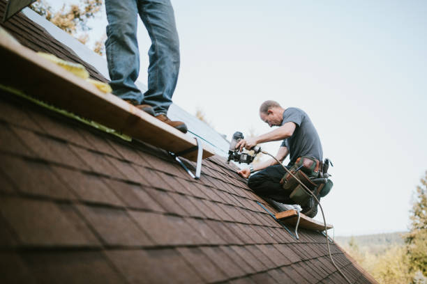Best Residential Roof Replacement  in Holley, NY