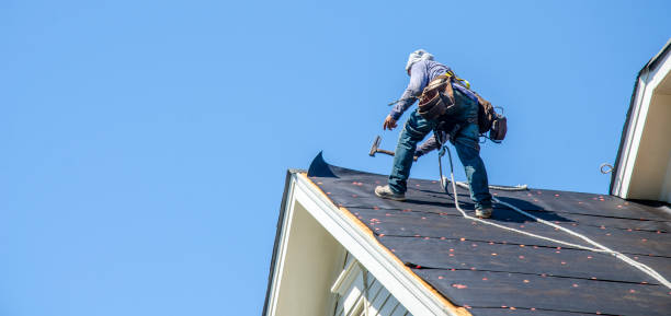 Best Best Roofing Contractors  in Holley, NY